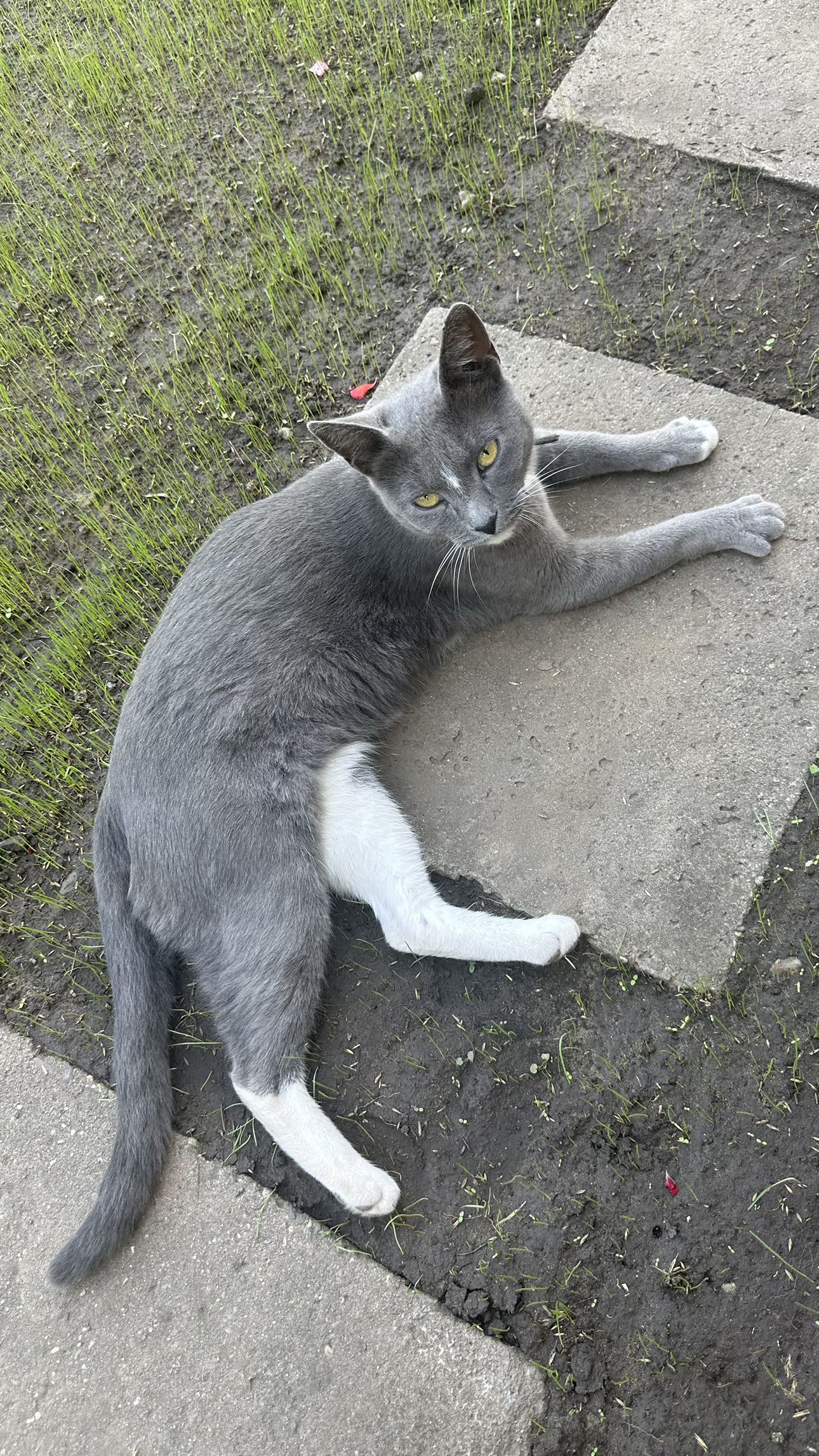 mira.0004 snapchat image archive image