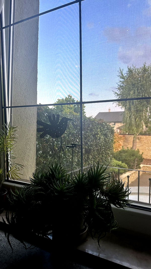 mira.0004 image ~ Altpins