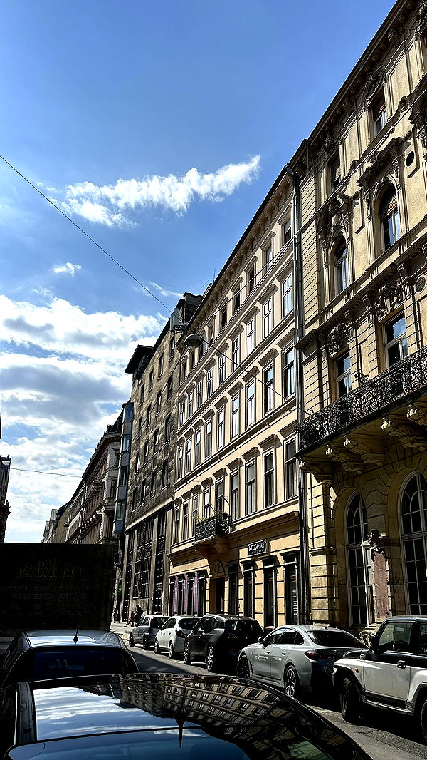 mira.0004 image ~ Altpins