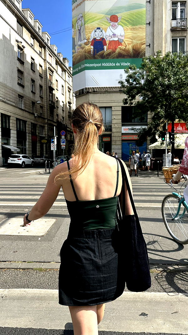 mira.0004 image ~ Altpins