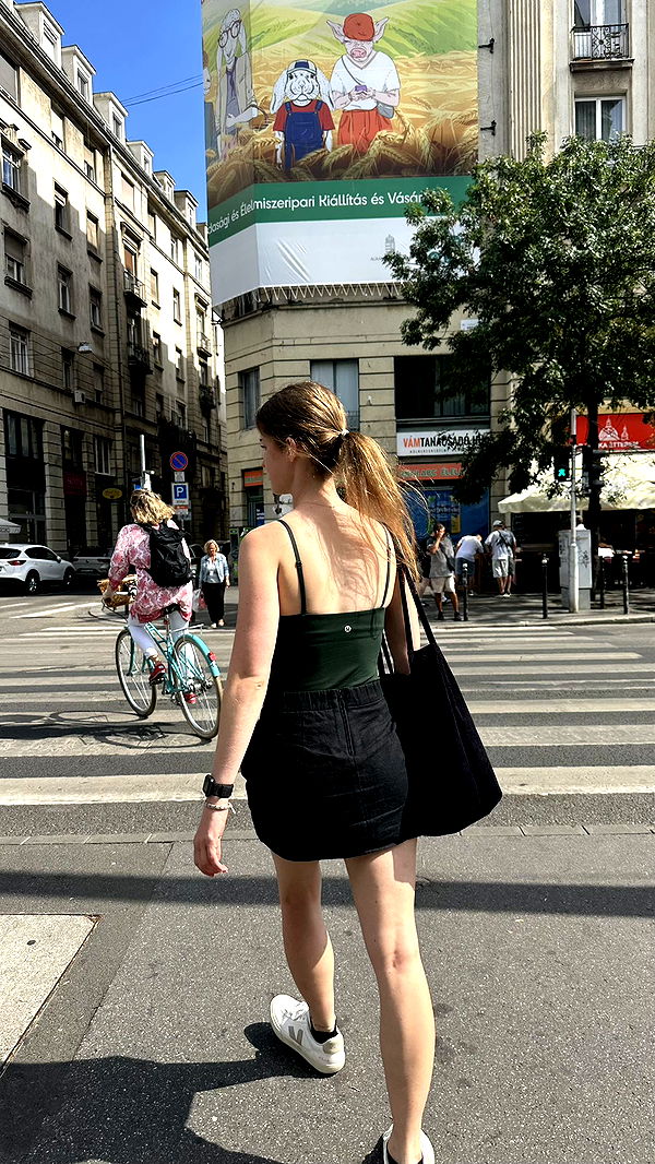 mira.0004 image ~ Altpins