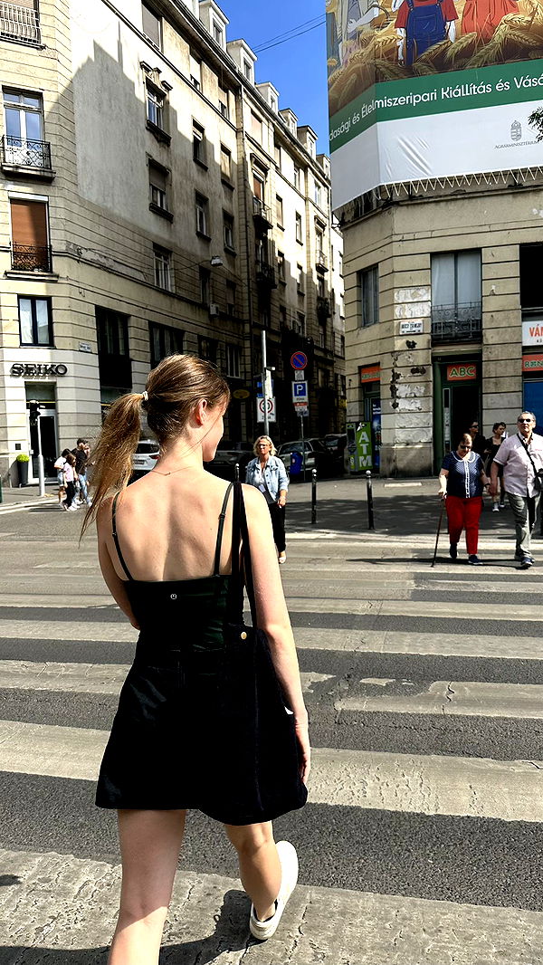 mira.0004 image ~ Altpins