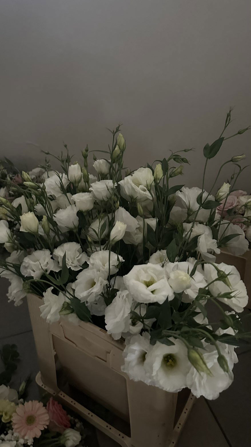 mira.0004 snapchat image archive image