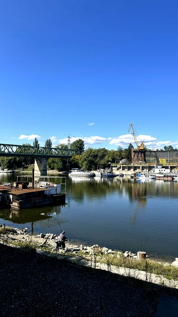 mira.0004 image ~ Altpins