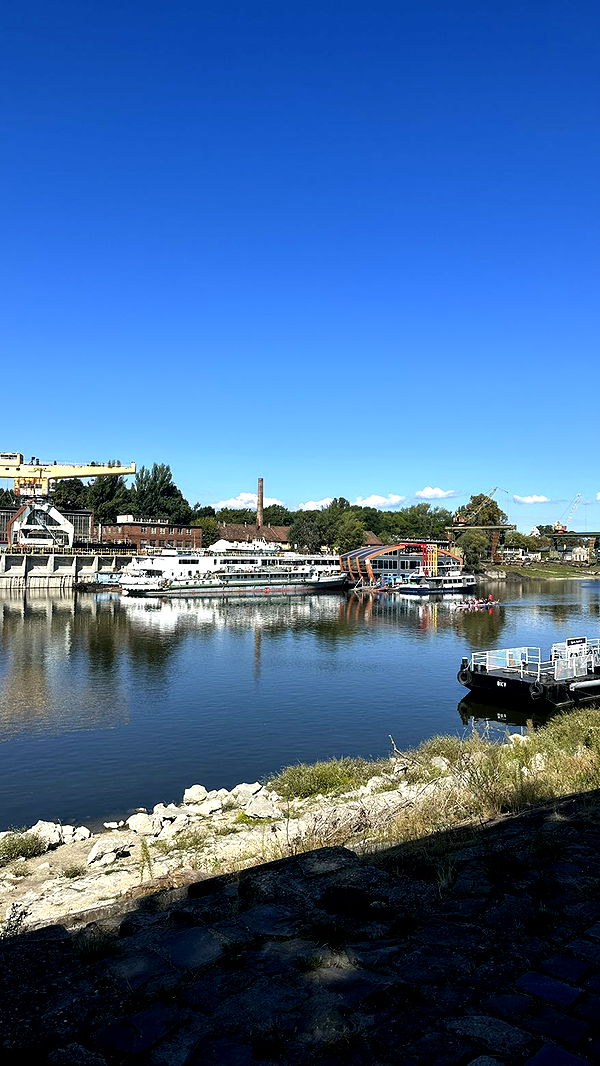 mira.0004 image ~ Altpins