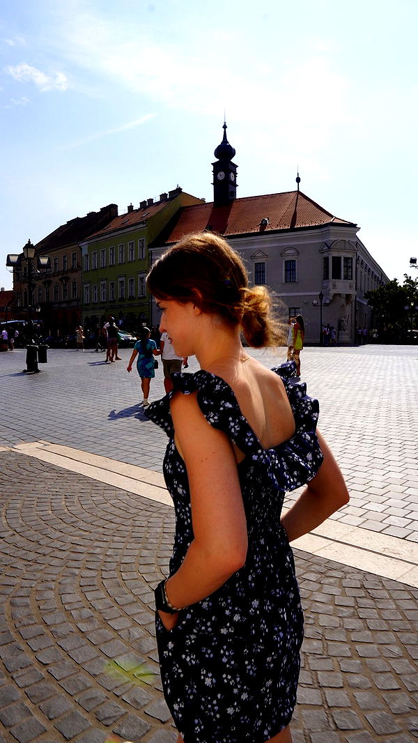 mira.0004 image ~ Altpins