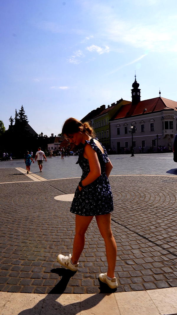 mira.0004 image ~ Altpins