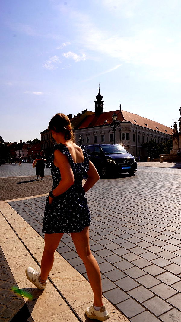 mira.0004 image ~ Altpins