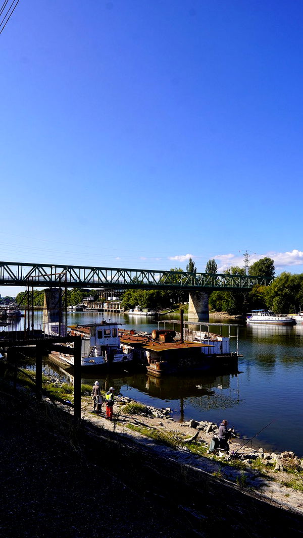 mira.0004 image ~ Altpins