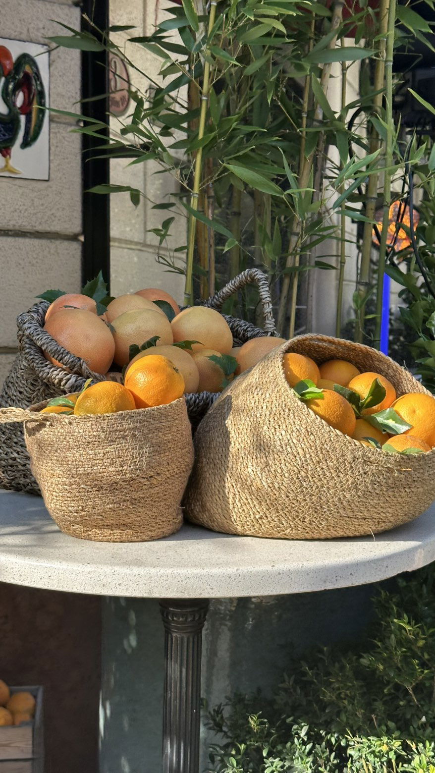 mira.0004 snapchat image archive image