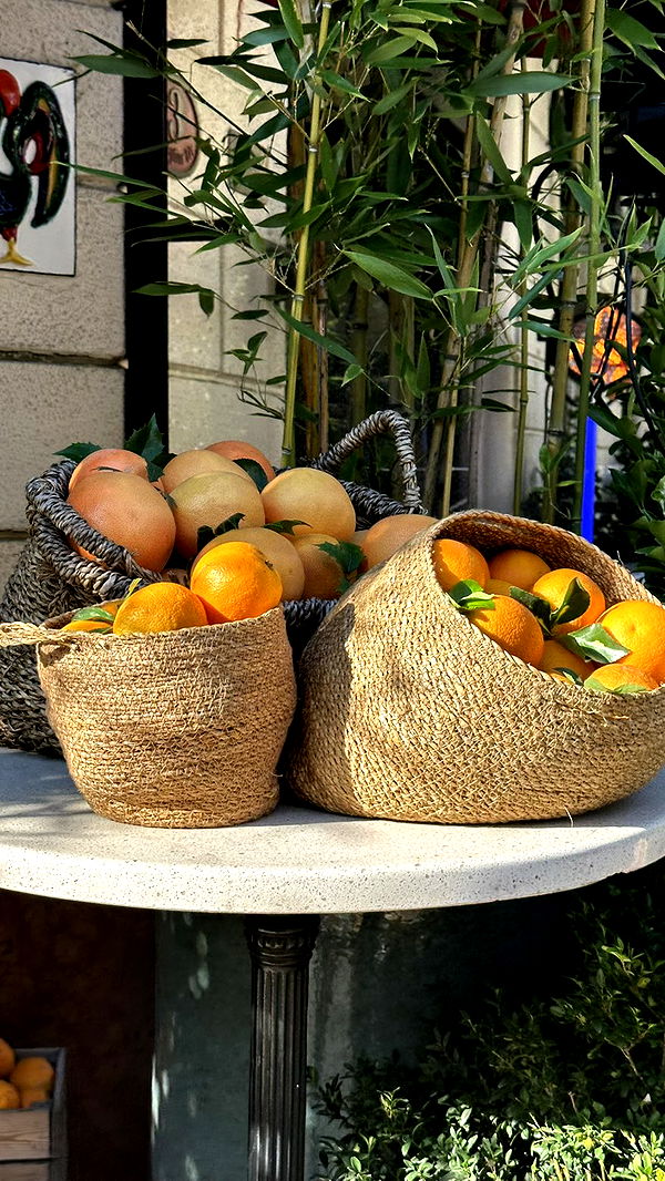 mira.0004 image ~ Altpins