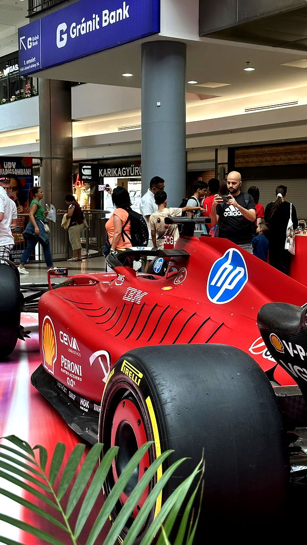 mira.0004 image ~ Altpins