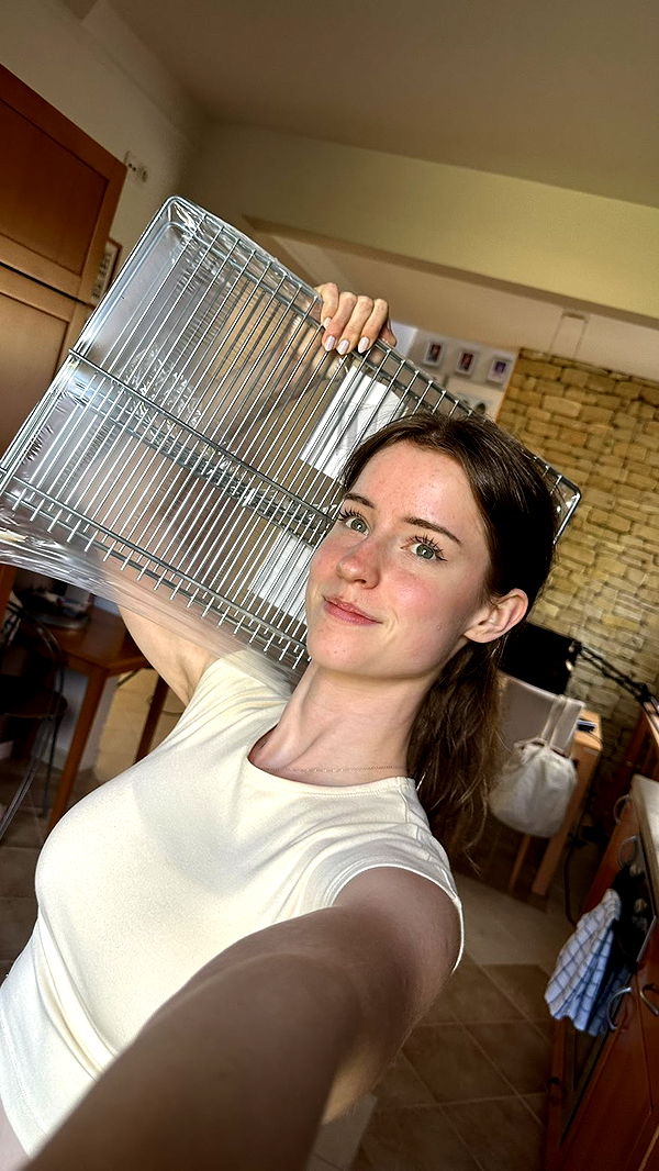 mira.0004 image ~ Altpins