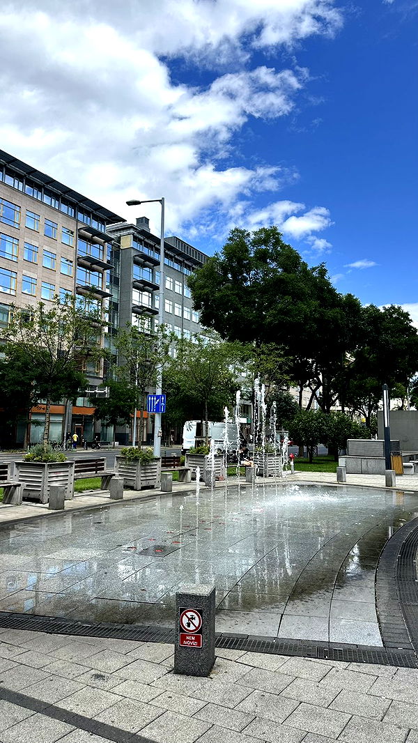 mira.0004 image ~ Altpins