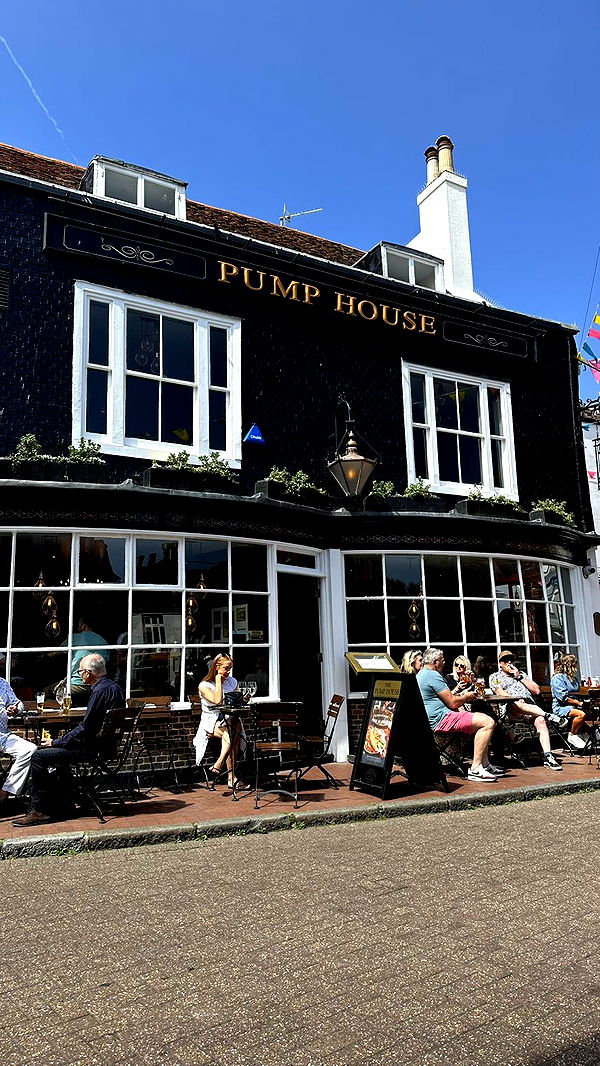 mira.0004 image ~ Altpins