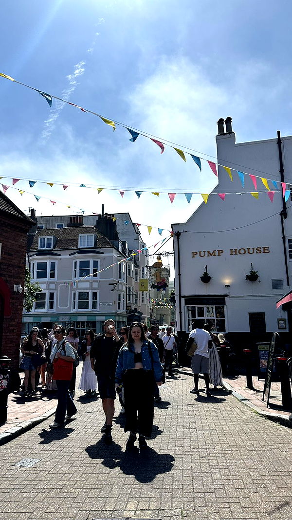 mira.0004 image ~ Altpins