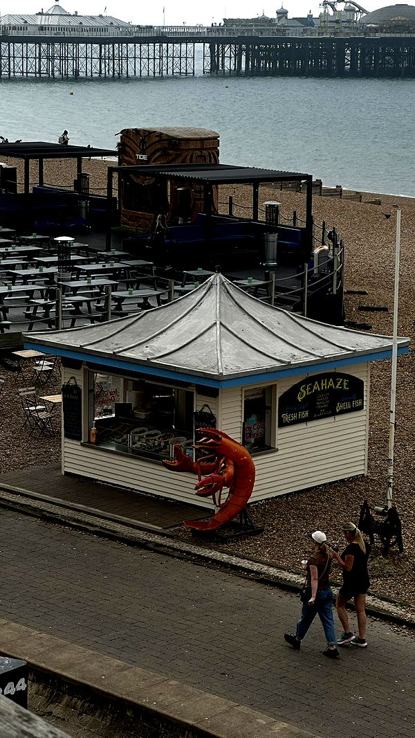 mira.0004 image ~ Altpins