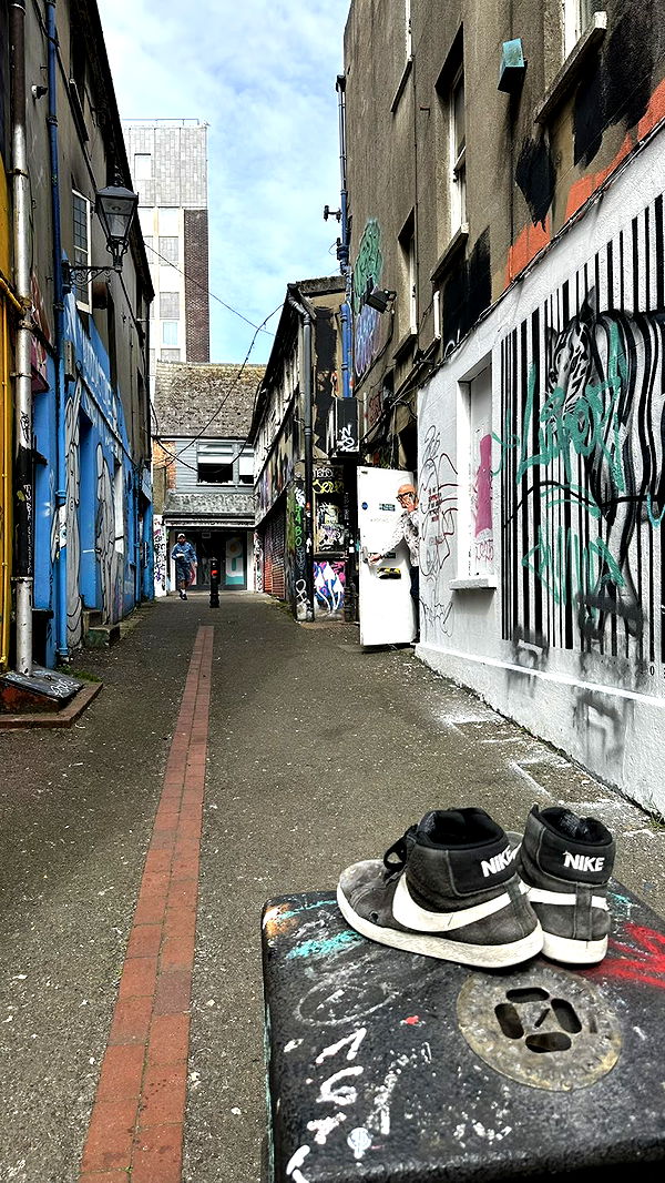 mira.0004 image ~ Altpins