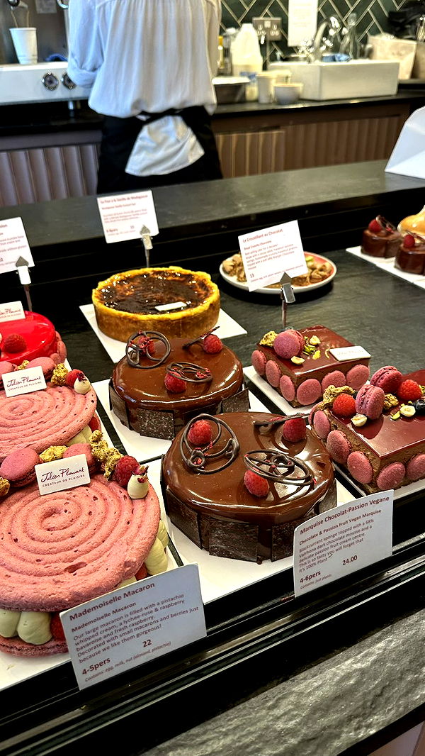 mira.0004 image ~ Altpins