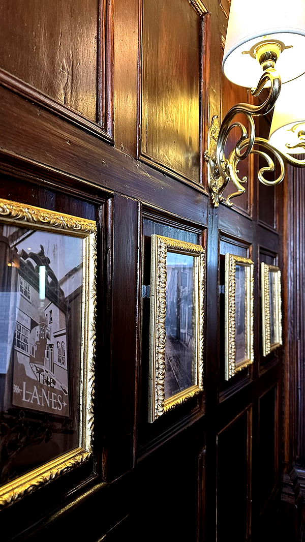 mira.0004 image ~ Altpins