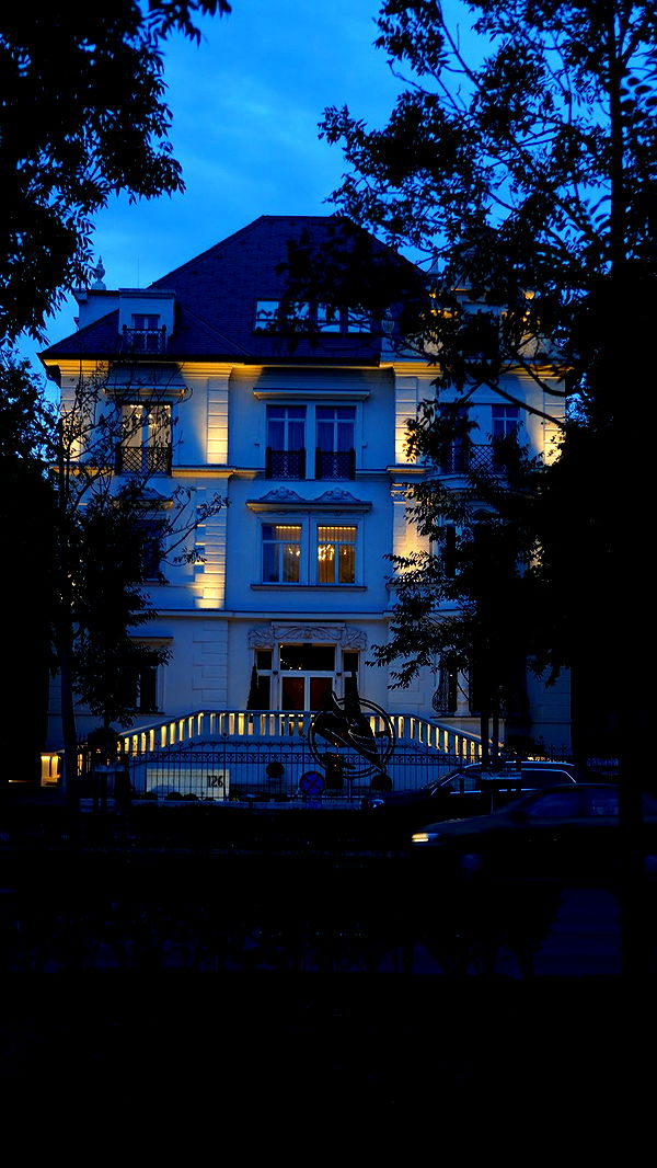 mira.0004 image ~ Altpins