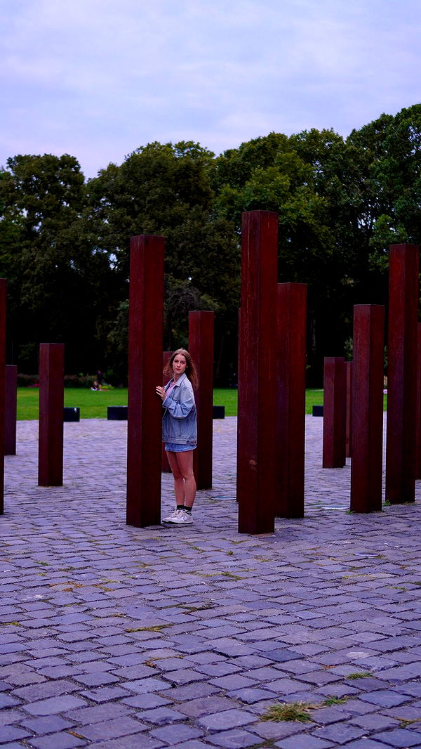 mira.0004 image ~ Altpins