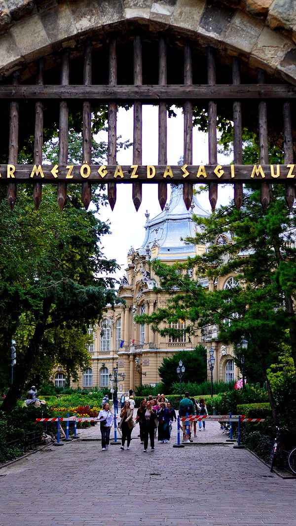 mira.0004 image ~ Altpins