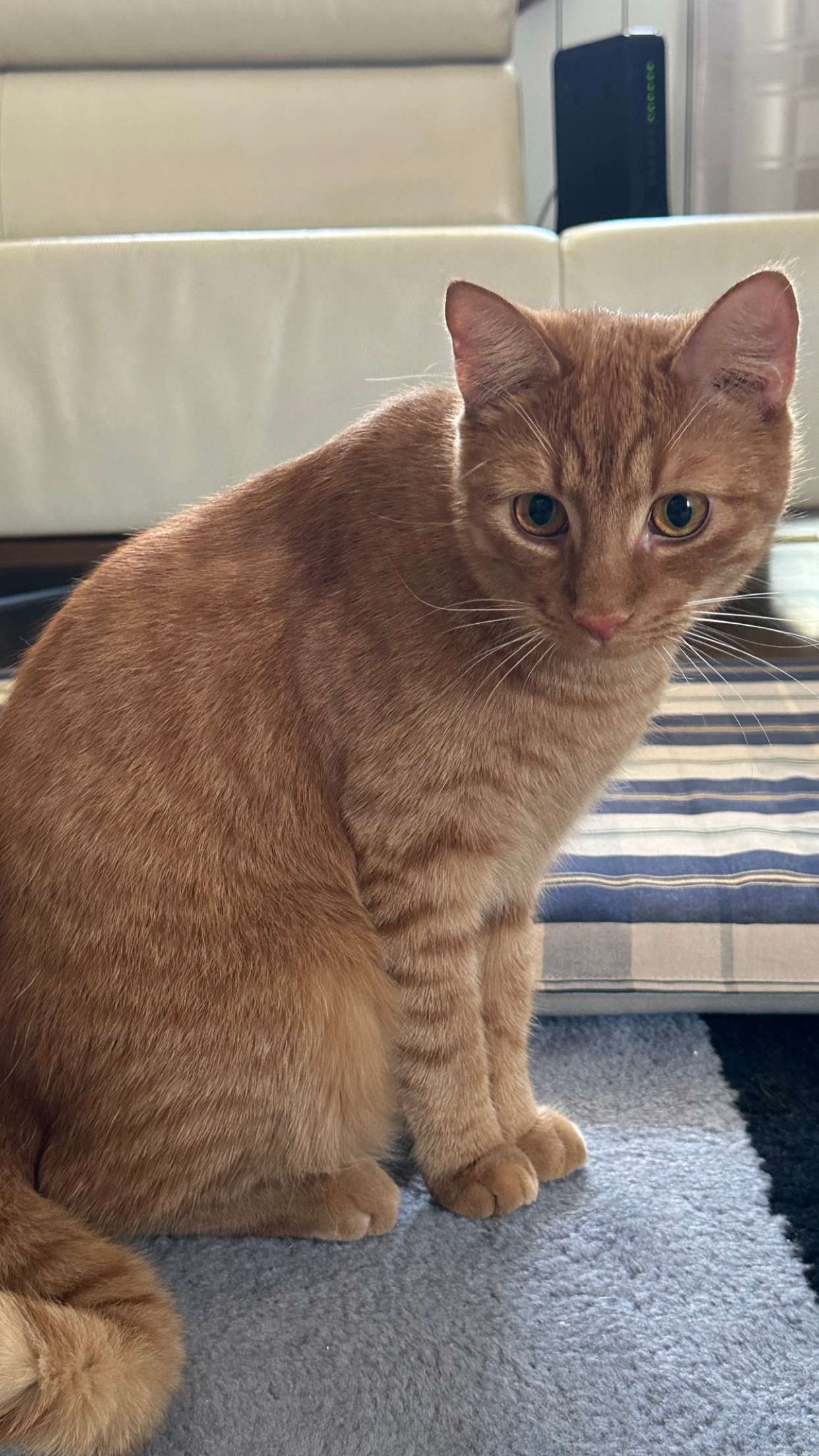 mira.0004 snapchat image archive image