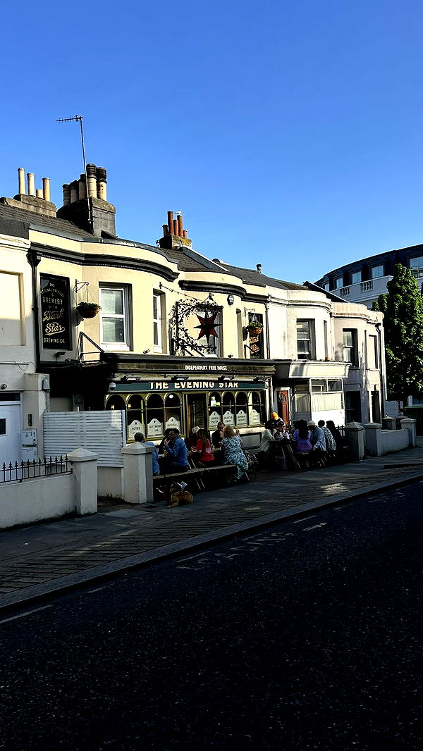 mira.0004 image ~ Altpins