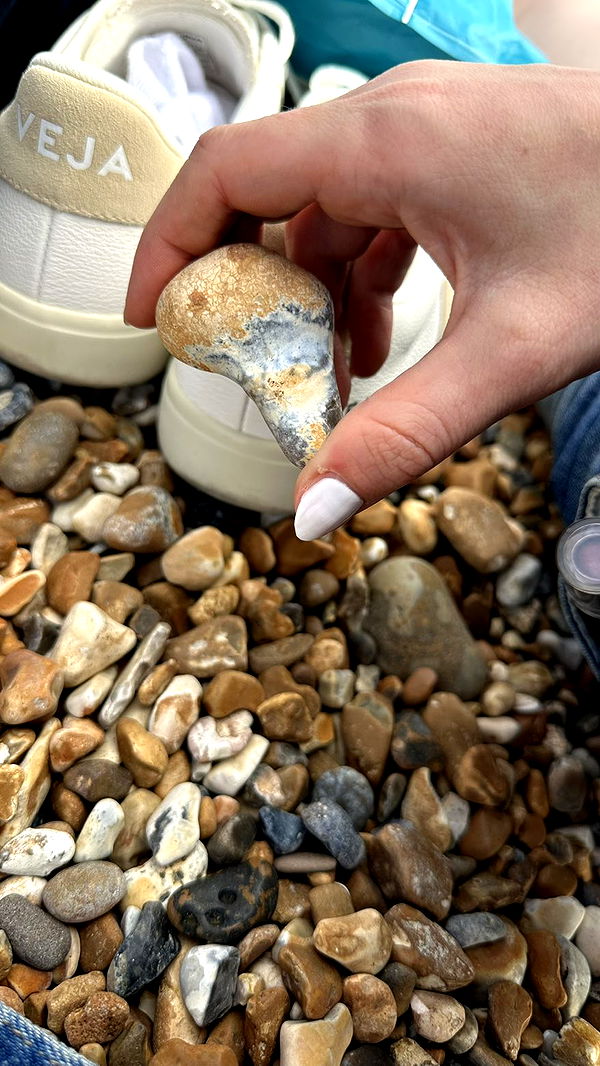 mira.0004 image ~ Altpins