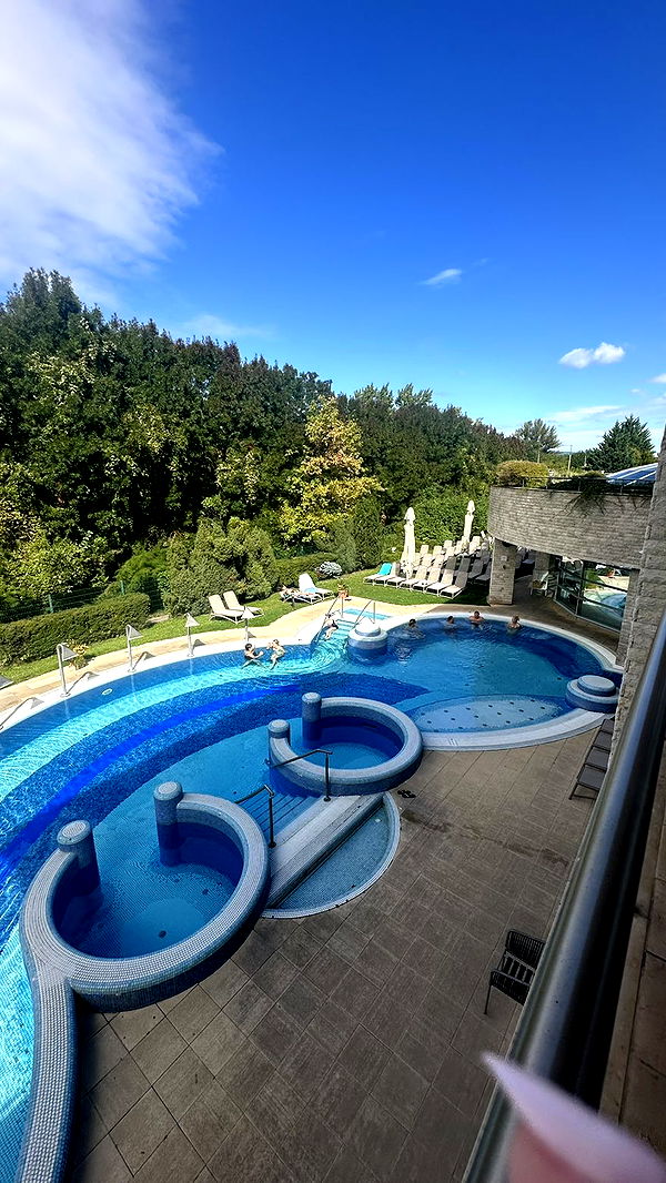 mira.0004 image ~ Altpins