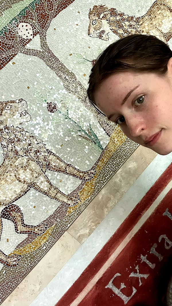 mira.0004 image ~ Altpins