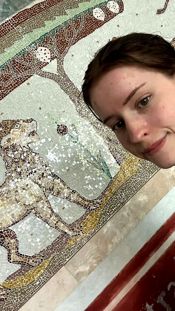 mira.0004 image ~ Altpins