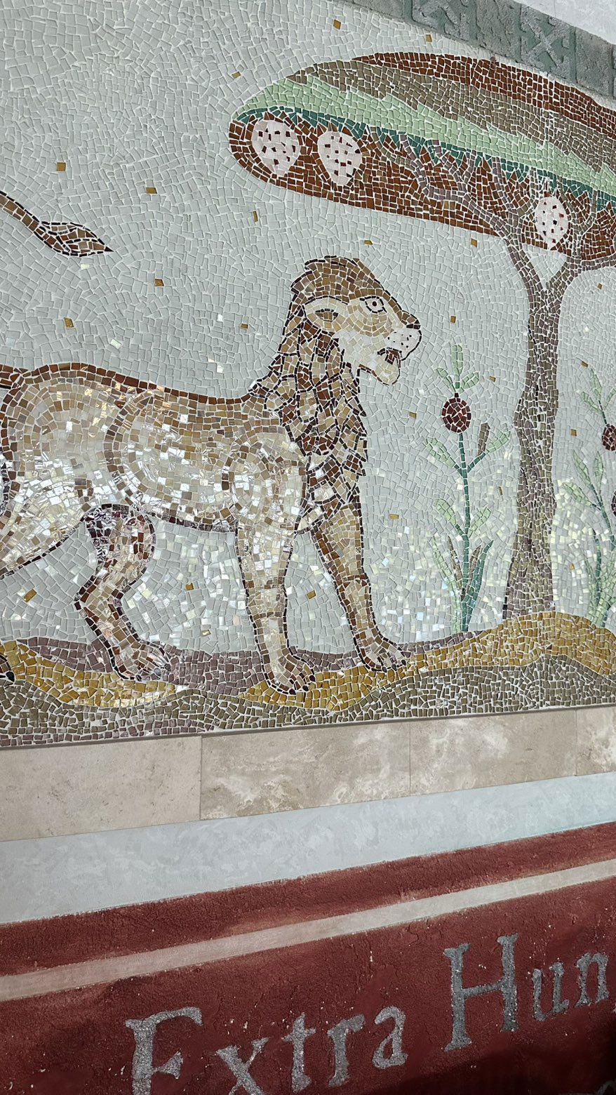 mira.0004 snapchat image archive image