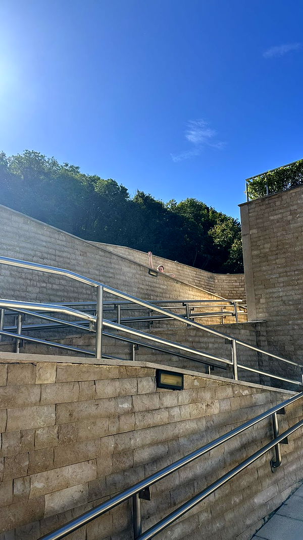 mira.0004 image ~ Altpins