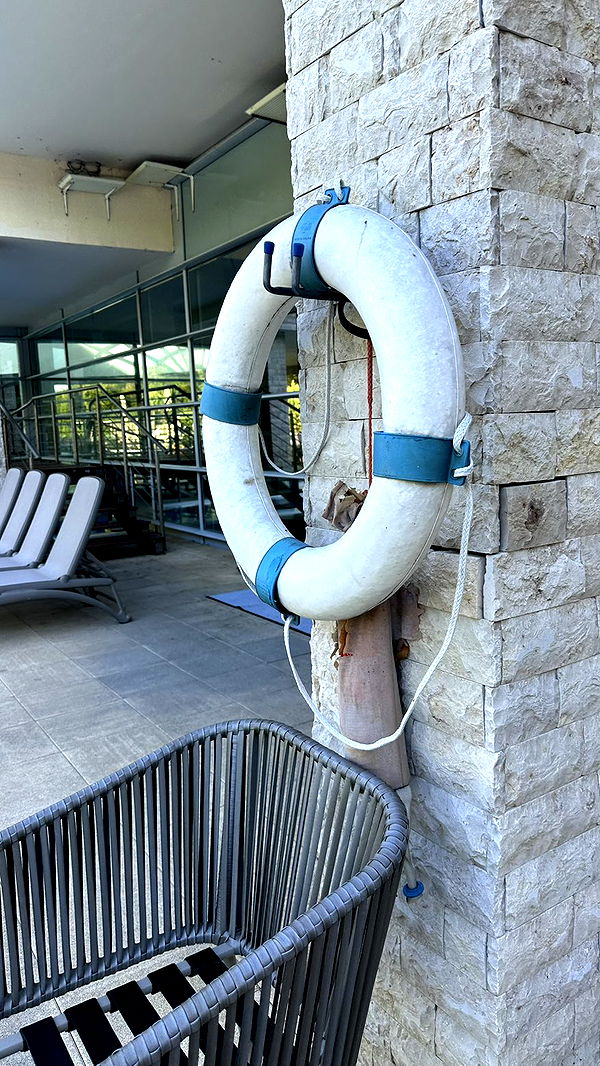 mira.0004 image ~ Altpins