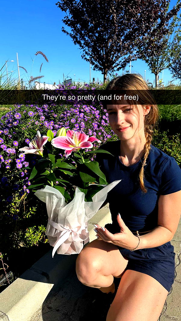 mira.0004 image ~ Altpins