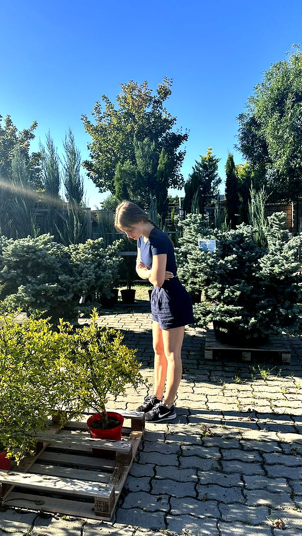 mira.0004 image ~ Altpins