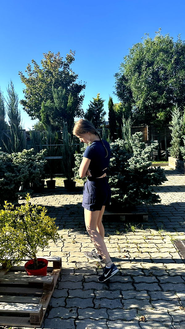 mira.0004 image ~ Altpins