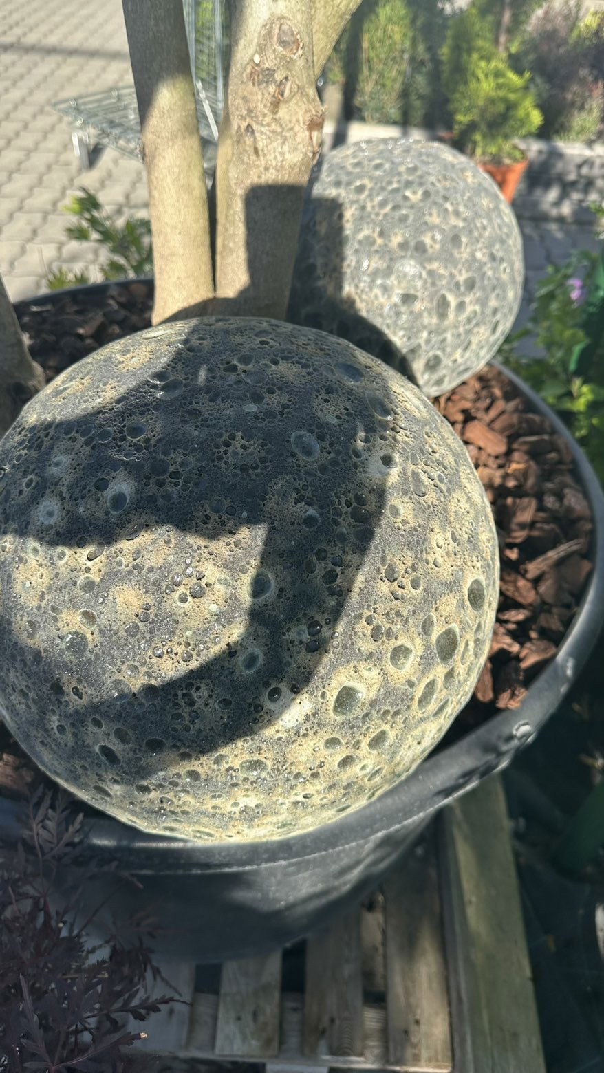 mira.0004 snapchat image archive image