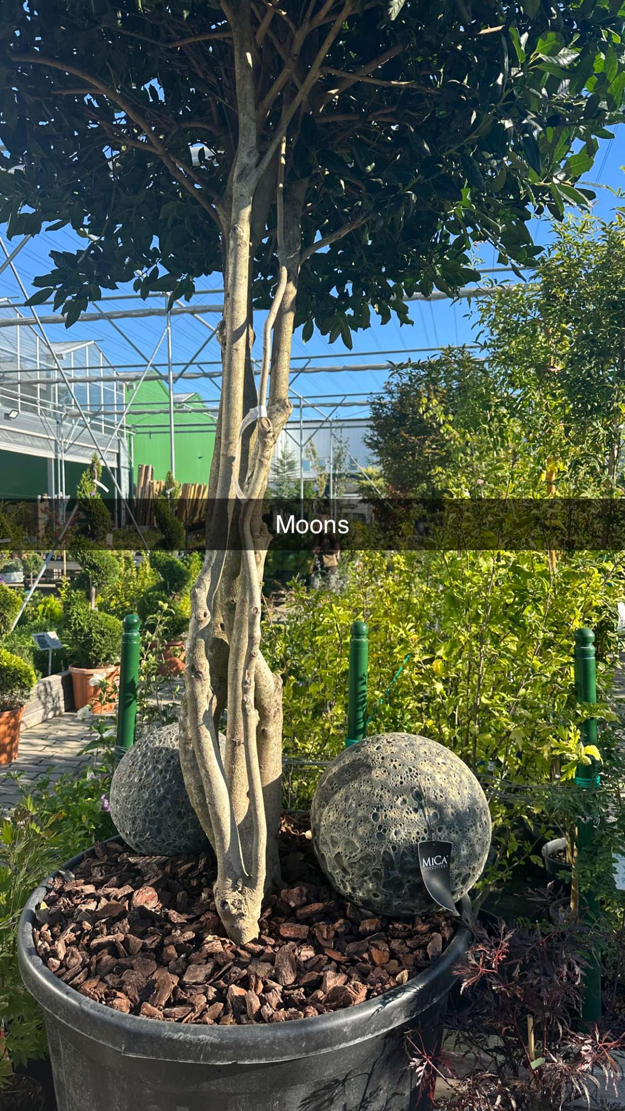 mira.0004 snapchat image archive image