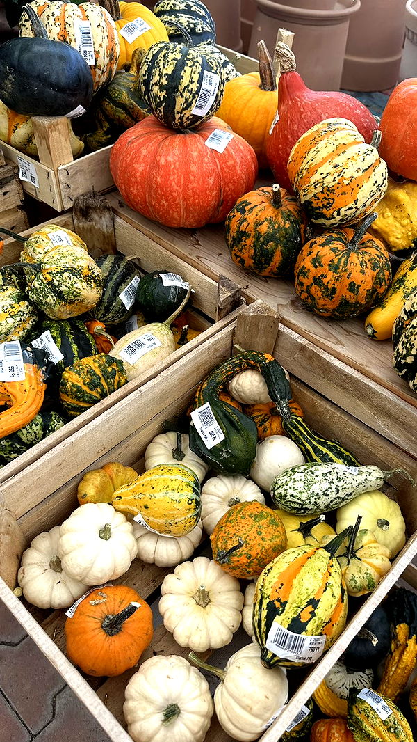 mira.0004 image ~ Altpins