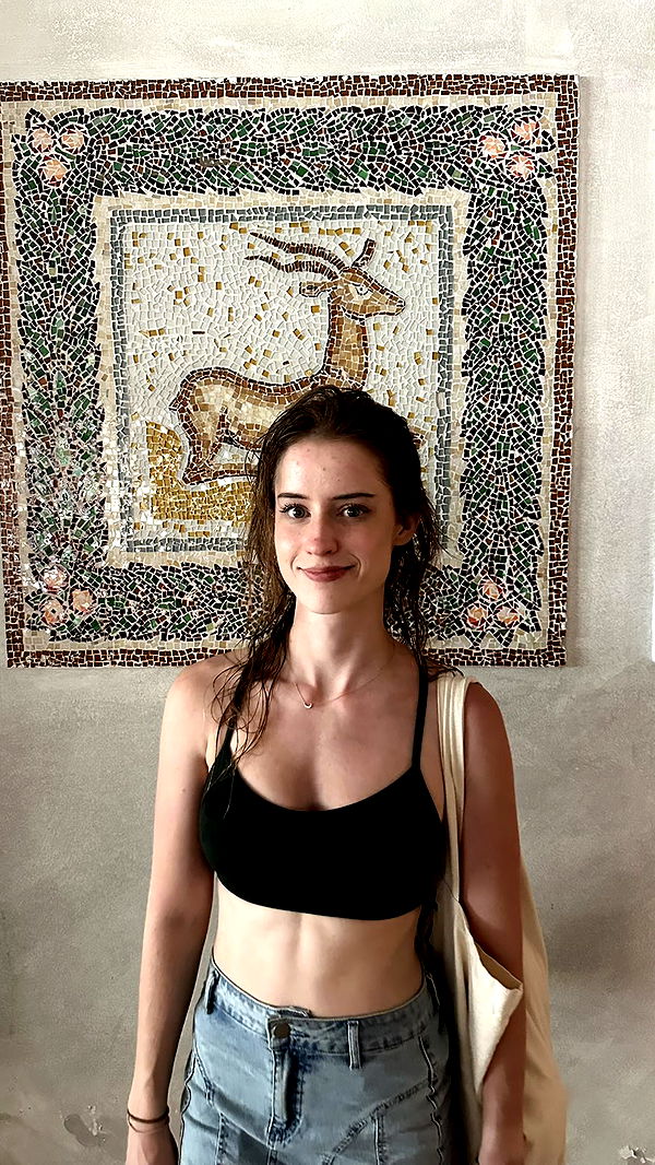 mira.0004 image ~ Altpins