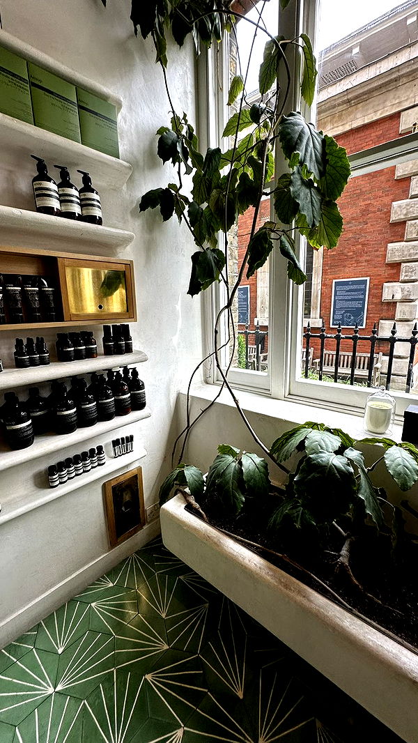 mira.0004 image ~ Altpins