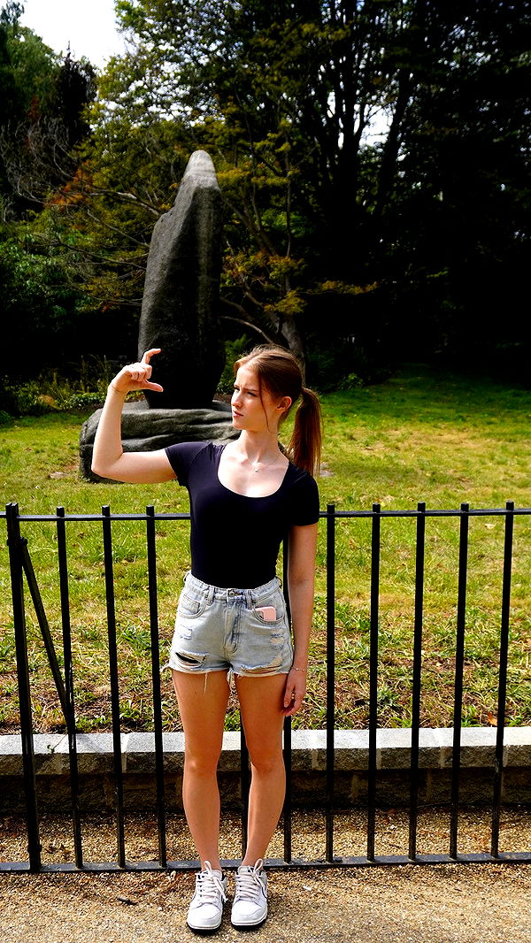 mira.0004 image ~ Altpins