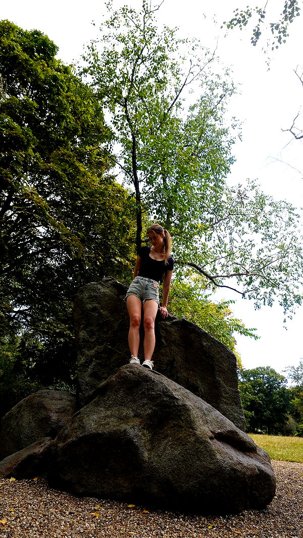 mira.0004 image ~ Altpins