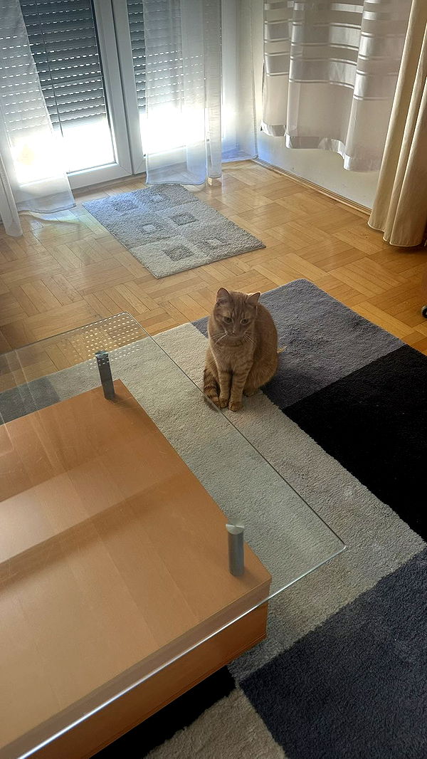 mira.0004 image ~ Altpins