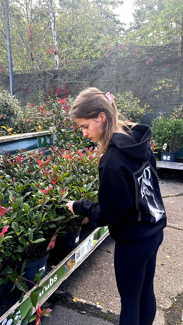 mira.0004 image ~ Altpins