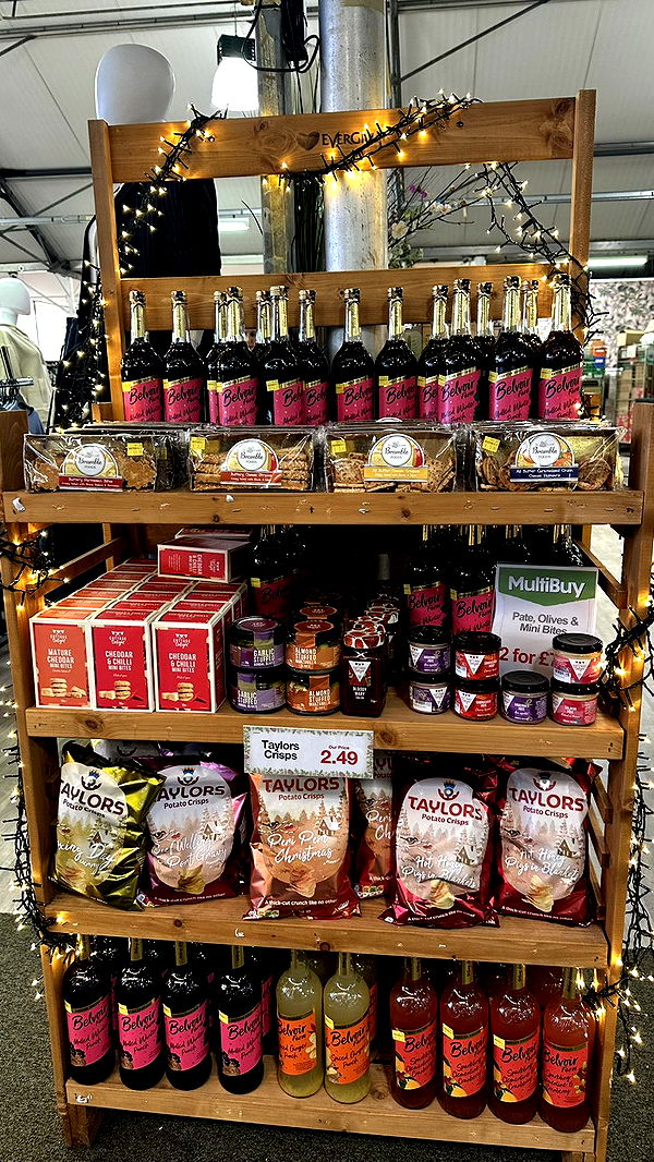 mira.0004 image ~ Altpins