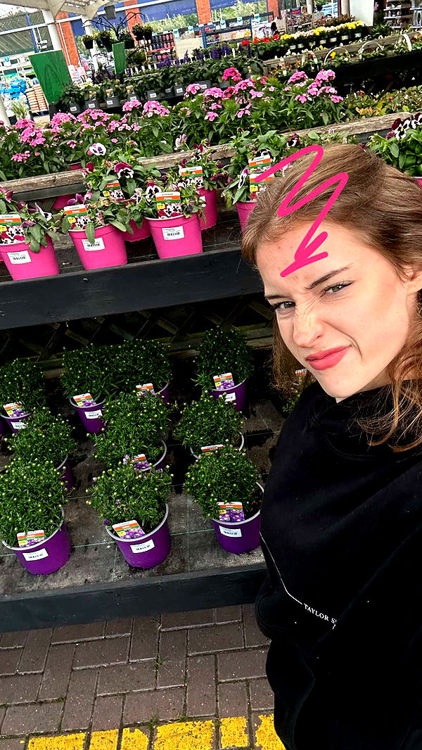 mira.0004 image ~ Altpins